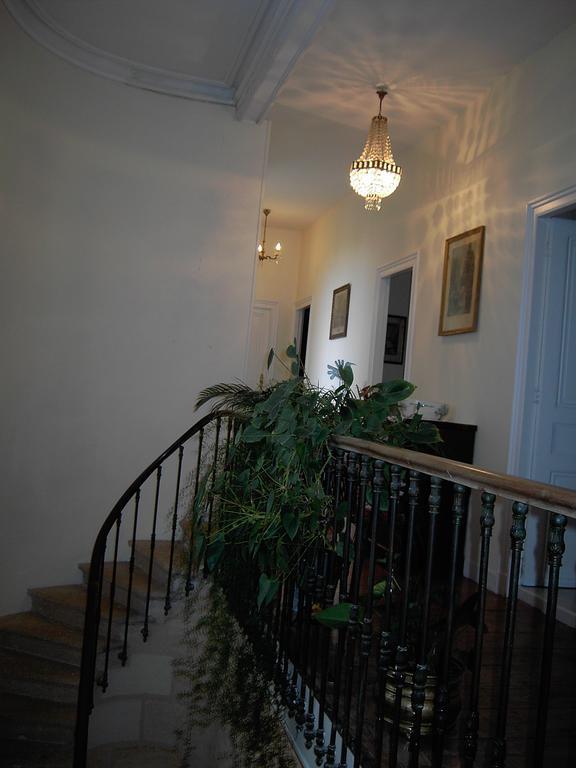 Domaine De Plisseau Bed and Breakfast Gauriac Eksteriør billede